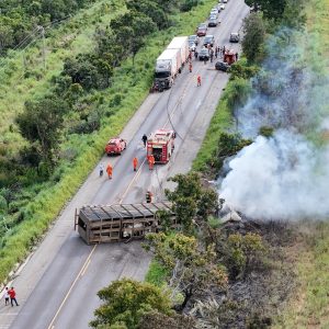 MT é o 2º estado com mais mortes por acidentes de trabalho no país, diz MTE