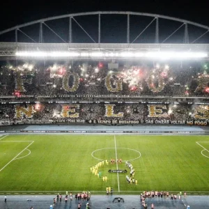 Botafogo x Remo: horário e onde assistir ao jogo do Brasileirão