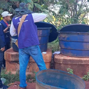 Chikungunya: entenda doença que preocupa Mato Grosso do Sul