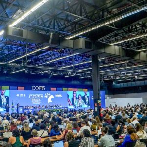 COP15 aprova maior proteção de bagres gigantes da Amazônia e ariranhas