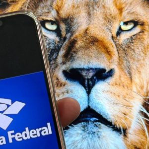 Receita paga lote da malha fina do Imposto de Renda nesta quinta-feira