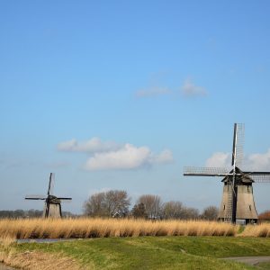 neblina da madrugada vira chuva certeira às 15h — índice UV extremo de 13
