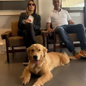 Cães treinados notam variações de glicose e antecipam crises em diabéticos