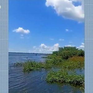 Polícia investiga morte de professor e filho após barco virar em rio