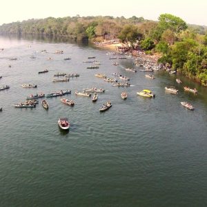 ONG questiona lei que proíbe pesca comercial em MT