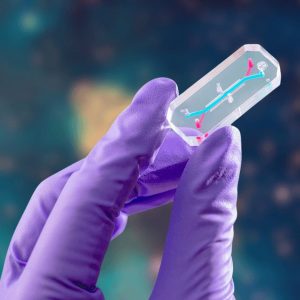 AVATAR na Artemis II: chip simula astronautas em miniatura para prever riscos no espaço profundo