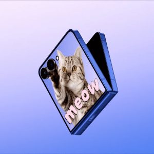 Galaxy Z Flip 8 tem imagens vazadas e pode ser idêntico ao antecessor; confira