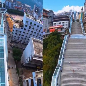 Maior escada rolante ao ar livre do mundo fica na China e tem mais de 900m