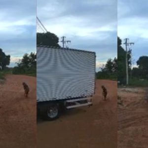 Mulher de 104 anos morre após ser atropelada por caminhão em MT; vídeo
