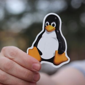 Vulnerabilidade no Linux permitia controle total a qualquer usuário