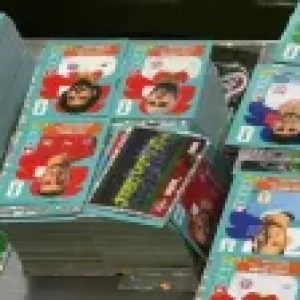 Adidas lança coleção especial de camisas da Copa 2026 para pets