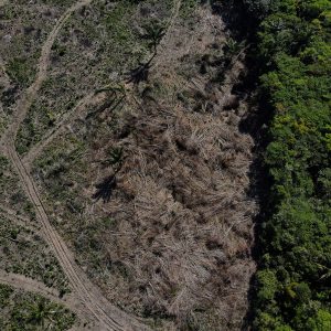 Desmatamento na Amazônia cai 17% no 1º trimestre, mas volta a subir em março