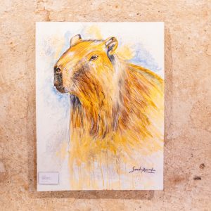 'Cuiabá em Cores': exposição reúne 24 artistas em mostra gratuita na capital