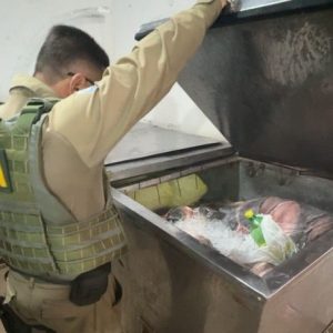 Sema apreende equipamentos proibidos e devolve 56 peixes ao Lago do Manso