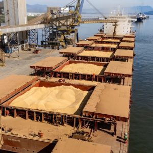 Investigação sobre soja chinesa expõe dependência do Brasil no comércio com a China