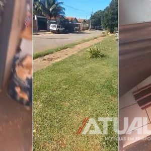 Tentativa de invasão e possível abuso mobiliza polícia e assusta moradores em Nova Mutum; Veja vídeo