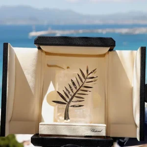 Entenda a importância do Festival de Cannes para o mercado cinematográfico