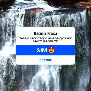 ONDE VOCÊ RECARREGA AS ENERGIAS EM MT? 

Mato Grosso é o lugar perfeito para que…