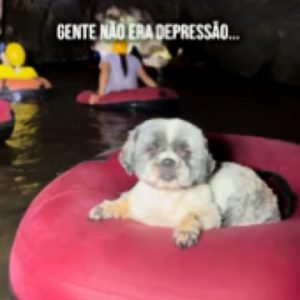 MATO GROSSO É SURREAL EM CADA DETALHE 

Viver em Mato Grosso é se surpreender to…