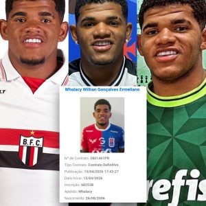 Com apenas 19 anos, o atacante Whalacy chega para reforçar o Paraná Clube.O j…