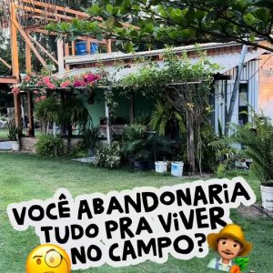 TECNOLOGIA QUE BROTA DA TERRA 

O suporte do GovMT garantiu que o casal Gebrair …