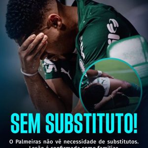 O Palmeiras não pensa, ao menos neste momento, em ir ao mercado em busca de um …