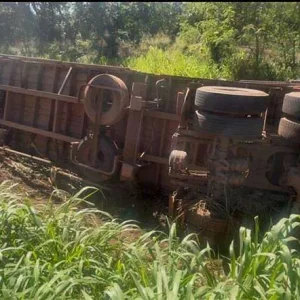 Carreta com 5 mil frangos tomba e causa lentidão em rodovia de MT