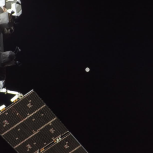 Artemis II: Astronautas chegam à metade do caminho; veja foto da lua