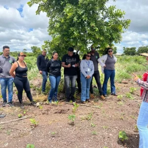 Seciteci abre inscrições para cursos técnicos gratuitos em agronegócio e agricultura em Mato Grosso