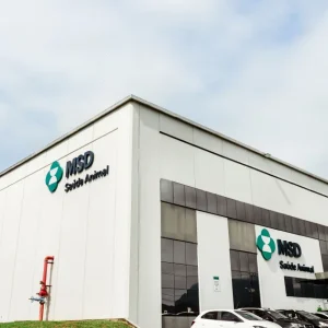 MSD Saúde Animal supera R$ 2,1 bilhões em faturamento no Brasil em 2025
