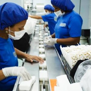 Empresas de Nova Mutum estão contratando quase 250 profissionais; setor industrial lidera