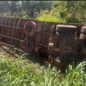 Carreta tomba na BR-163 com 5 mil frangos entre Lucas do Rio Verde e Nova Mutum » Esportes & Notícias