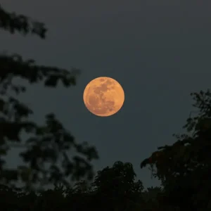 “Lua Cheia das Flores” ocorrerá em 1º de maio; entenda significado