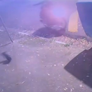 Vídeo: PM da Rota é baleado enquanto passeava com cachorro na Grande SP