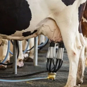 Projeto que restringe compra de leite importado avança no Congresso