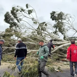 Ciclone extratropical causa falta de energia e queda de árvores no RS