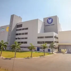 Moinho Globo prevê ano difícil e conservador para setor de trigo