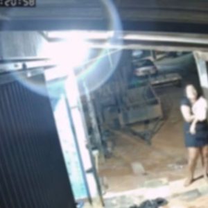 Mulher tenta salvar cachorros de ataque e acaba ferida em Nova Mutum; veja vídeo