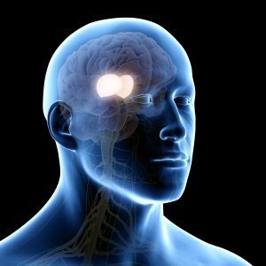 Desigualdade pesa no cérebro e pode acelerar envelhecimento mais do que doenças isoladas, diz estudo global