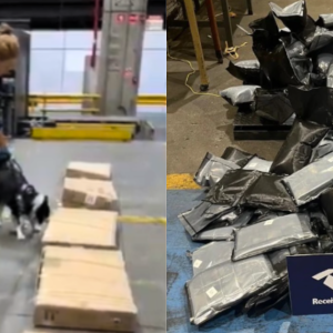 Mais de 280 kg de haxixe vindo dos EUA são apreendidos em aeroporto de SP