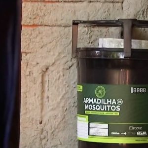 Como epidemia de chikunya fez quase 2 mil casos, 7 mortes e deixou cidade em alerta em MS