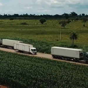 Serviços atingem recorde histórico com leve alta em fevereiro