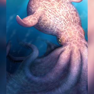 Polvos de quase 20 metros eram os predadores do topo há 100 milhões de anos