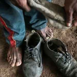 Amado Batista e BYD são incluídos em lista de trabalho escravo do MTE