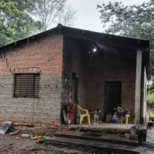 Polícia Civil identifica suspeito por maus-tratos e abuso contra cachorro
