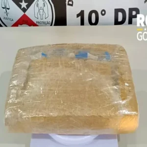 Ação da Polícia Civil apreende entorpecentes em veículo que saiu de Guajará-Mirim na BR-364