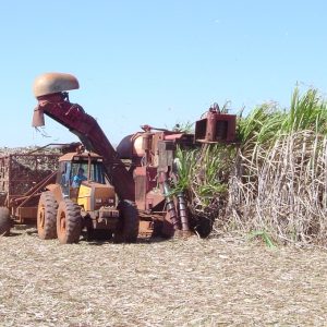 Produção de cana recua, mas etanol atinge e açúcar se mantém em alta