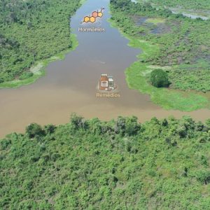 Pesquisadores identificam 14 poluentes nos rios do bioma do Pantanal