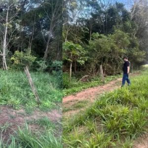 Três jovens desaparecidos são encontrados mortos em área rural de MT