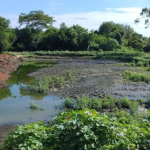 Área rural é embargada após derramamento de esgoto em córrego em MT